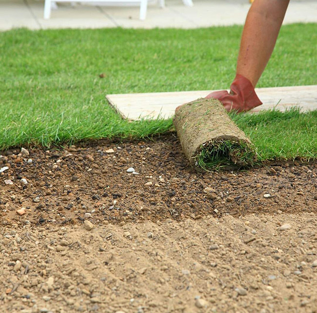 Hazır Çim, Hazır rulo çim, rulo cim