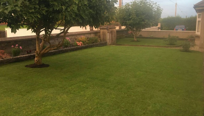 Hazır Çim, Hazır rulo çim, rulo cim