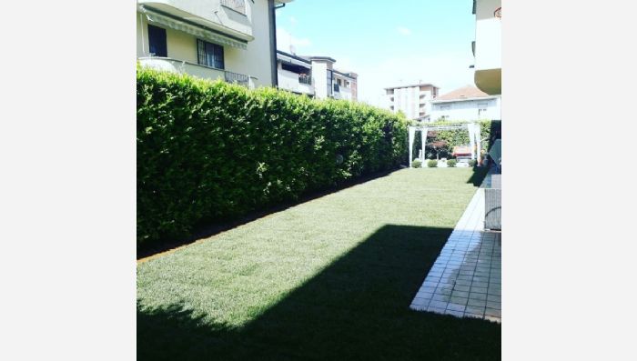 Hazır Çim, Hazır rulo çim, rulo cim